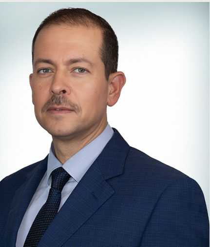 Malek Muthanna Ali